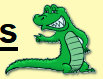 cozygator010006.jpg