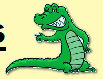 cozygator019005.jpg