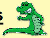 cozygator026005.jpg